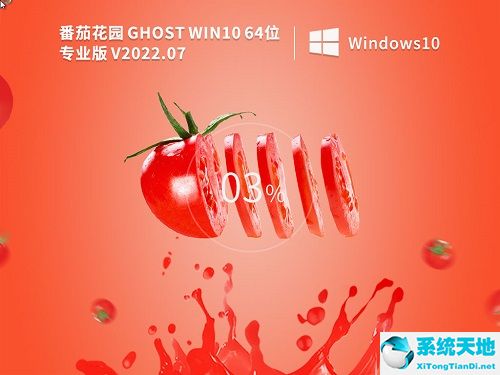 番茄花園 Ghost Win10 64位安全專業(yè)版 v2022.07