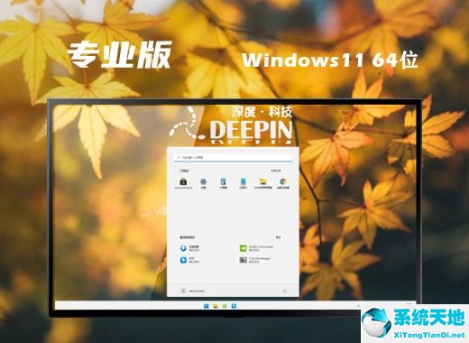 深度技術 ISO Win11 64位完整專業(yè)版 v2022.07