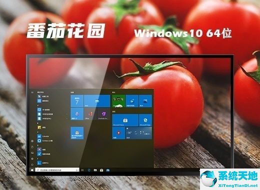 番茄花園 Ghost win10 64位精簡(jiǎn)版 v2022.08