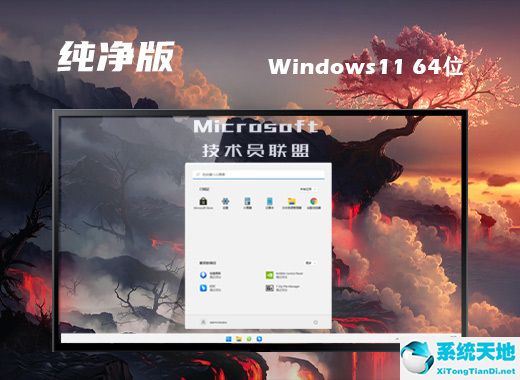 技術員聯(lián)盟 Ghost Win11 64位改良純凈版 v2022.08