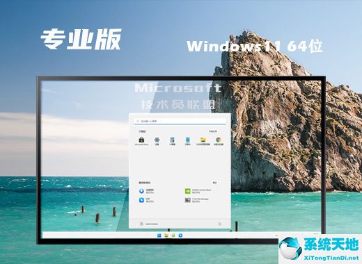 技術(shù)員聯(lián)盟 ghost win11 64位純凈專(zhuān)業(yè)版 v2022.08