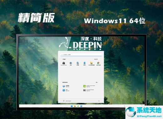 深度技術 Ghost Win11 64位優(yōu)質精簡版 v2022.09