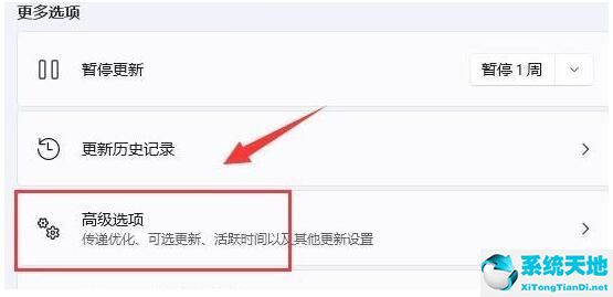Win11如何限制帶寬流量？